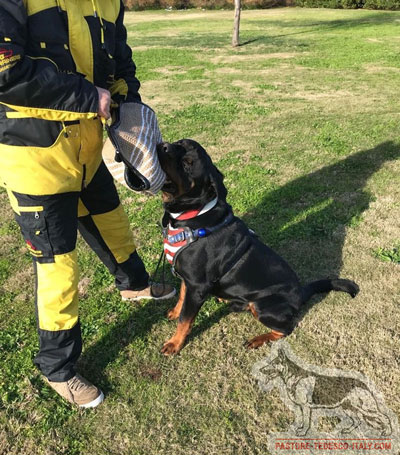 Pettorina in cuoio dipinta a mano 