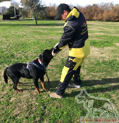 Tuta protettiva per gare sportive