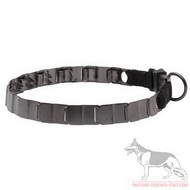 Collare a punte in acciaio inox annerito da addestramento Collare a punte in acciaio inox annerito da addestramento