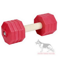Manubrio con dischi rossi, 2 kg per le gare IGP Manubrio con dischi rossi, 2 kg per le gare IGP