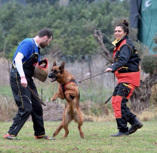 Tuta protettiva per gare sportive