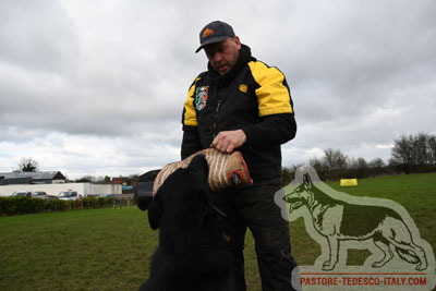 Manica per la preparazione a Schutzhund