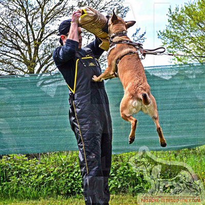 Manica per la preparazione a Schutzhund