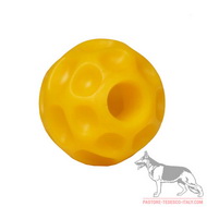 Piccola palla interattiva Tetraflex per Pastore tedesco Piccola palla interattiva Tetraflex per Pastore tedesco