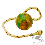 Palla da gioco in gomma con corda, 7 cm di diametro