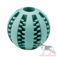 Palla dentale al gusto di menta, 7 cm per Pastore tedesco Palla dentale al gusto di menta, 7 cm per Pastore tedesco
