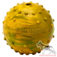 Palla di gomma con campanello per Pastore tedesco Palla di gomma con campanello per Pastore tedesco