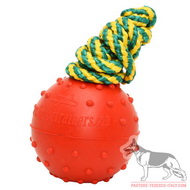 Palla galleggiante con corda, 6 cm per Pastore tedesco Palla galleggiante con corda, 6 cm per Pastore tedesco