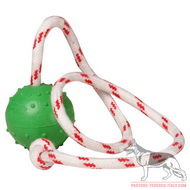Palla da gioco con corda, 5 cm per Pastore tedesco Palla da gioco con corda, 5 cm per Pastore tedesco