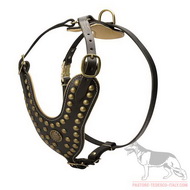 Pettorina con borchie decorative per Pastore tedesco Pettorina con borchie in ottone per Pastore tedesco