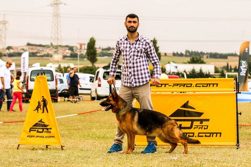 I nostri clienti dalla Turchia con il Pastore tedesco I nostri clienti dalla Turchia con il Pastore tedesco