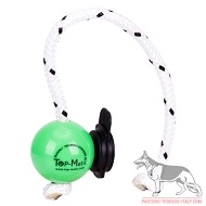 Palla magnetica Fun-Ball Mini SOFT verde con clip nera Palla magnetica Fun-Ball Mini SOFT verde con clip nera