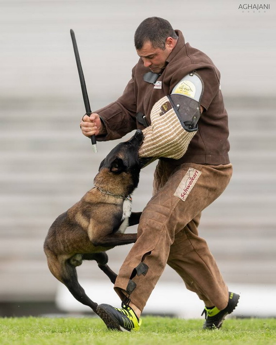 Fodera per la manica per la preparazione a Schutzhund Fodera per la preparazione a Schutzhund