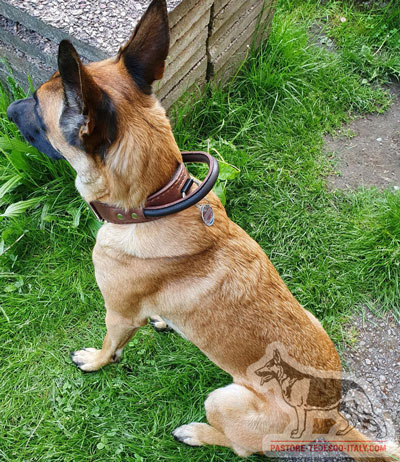 Collare rinforzato con maniglia per cane grande e forte