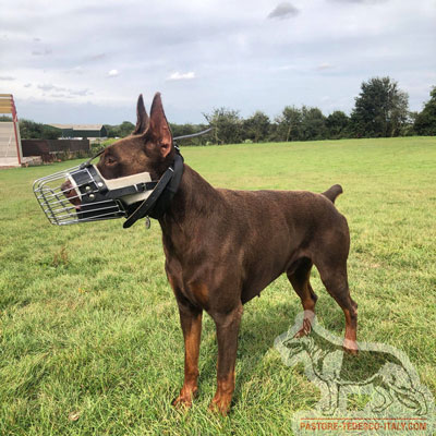 Modello museruola con imbottitura in feltro per cane con muso lungo