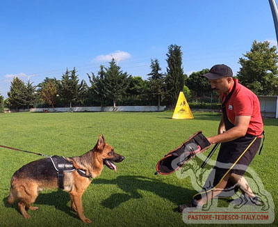 Manica di protezione braccio del figurante nell'allenamento del pastore tedesco