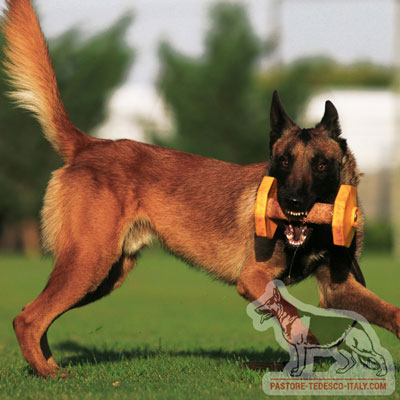 Manubrio in legno con dischi esagonali colore giallo per cani