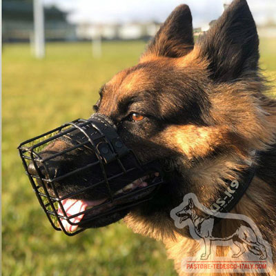 Museruola specialistica gommata per lavoro con cani