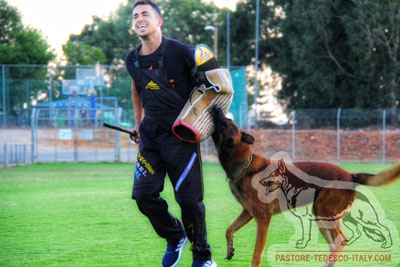 Pantaloni protettivi per addestratori cani