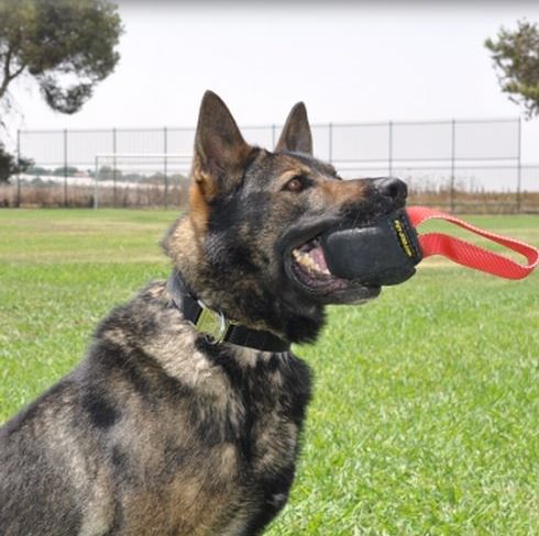 Riporto da mordere in pelle naturale a forma rotonda con maniglia per allenamento cani