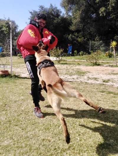 Tuta protettiva pesante e flessibile per addestramento cani