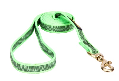 Guinzaglio di colore verde in nylon gommato per cani