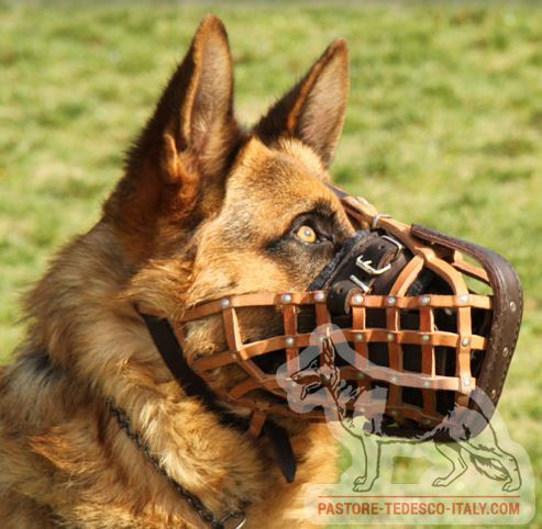 Museruola spaziosa rinforzata per cani di polizia