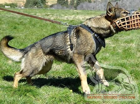 Museruola in cuoio morbido con rinforzo di metallo per cani di servizio