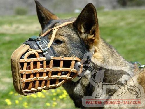 Museruola con rinforzo di metallo per cani di servizio