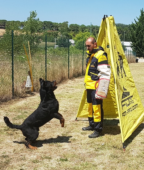 Tuta protettiva giallo/nera per gare sportive