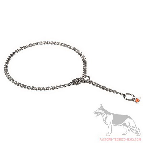 Collare a strozzo in acciaio inox con fissatore, 2,5 mm per cane - Clicca l'immagine per chiudere