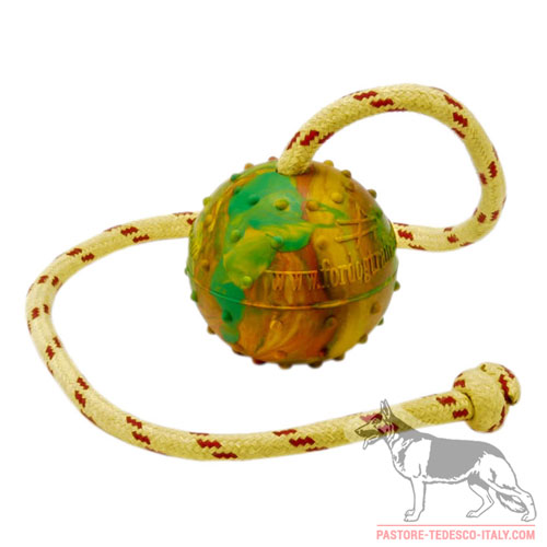 Palla da gioco in gomma con corda, 7 cm di diametro - Clicca l'immagine per chiudere