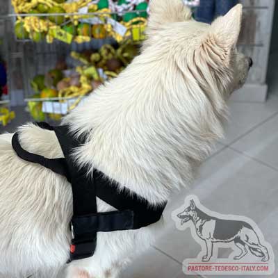 Leggera pettorina in nylon con logo per cane da pastore