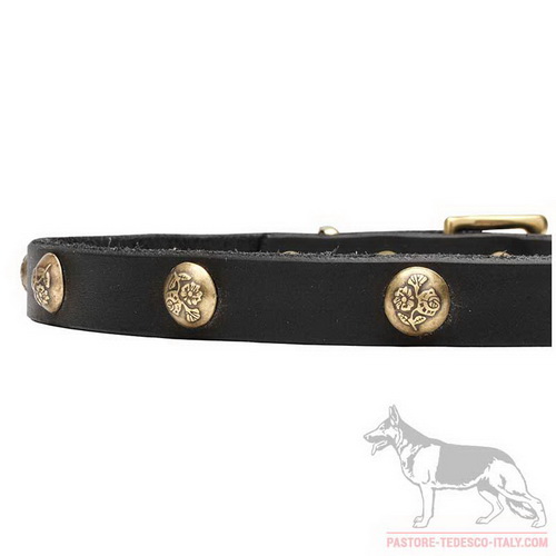 Collare di colore nero decorato con borchie rotonde