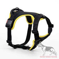 Pettorina in nylon colore nero "Walking day" Pettorina in nylon colore nero "Walking day"