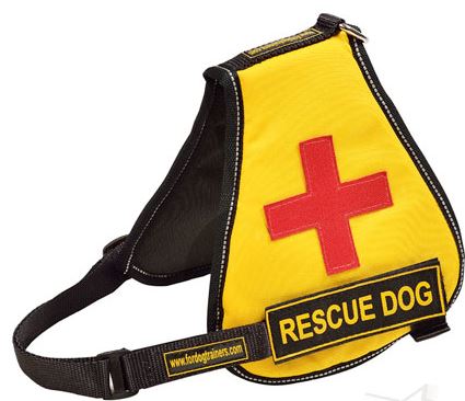 Gilet per cani di servizio speciale Service Dog