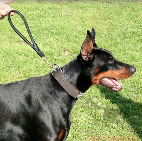 Comodo guinzaglio corto in pelle arrotondata per cani di
taglia grande