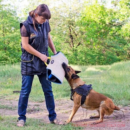 Grande cuneo protettivo da mordere per cane con due rigide maniglie